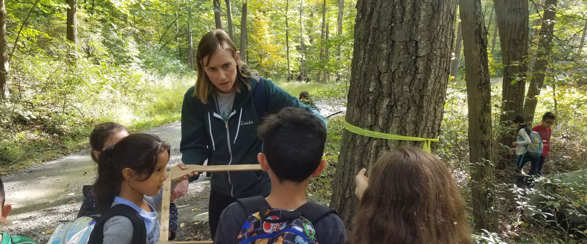 Biometry (Tree Measurement)
