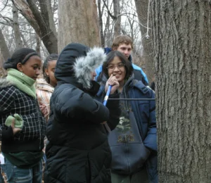 Tree Aging