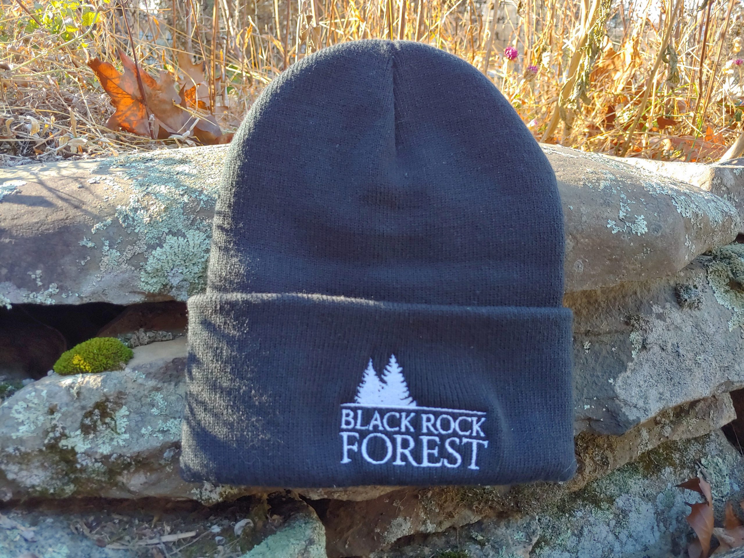 BRF Re-Beanie