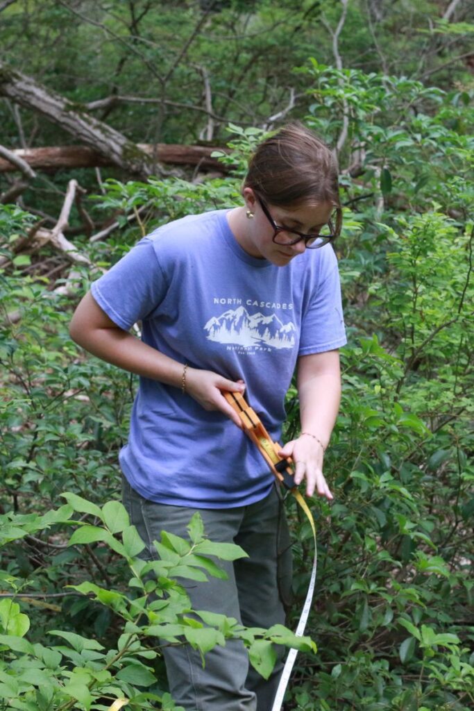 Piper Jenkins, a Black Rock Forest seasonal Research Assistant, estimates shrub cover in a forest monitoring plot.