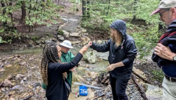 Water Quality